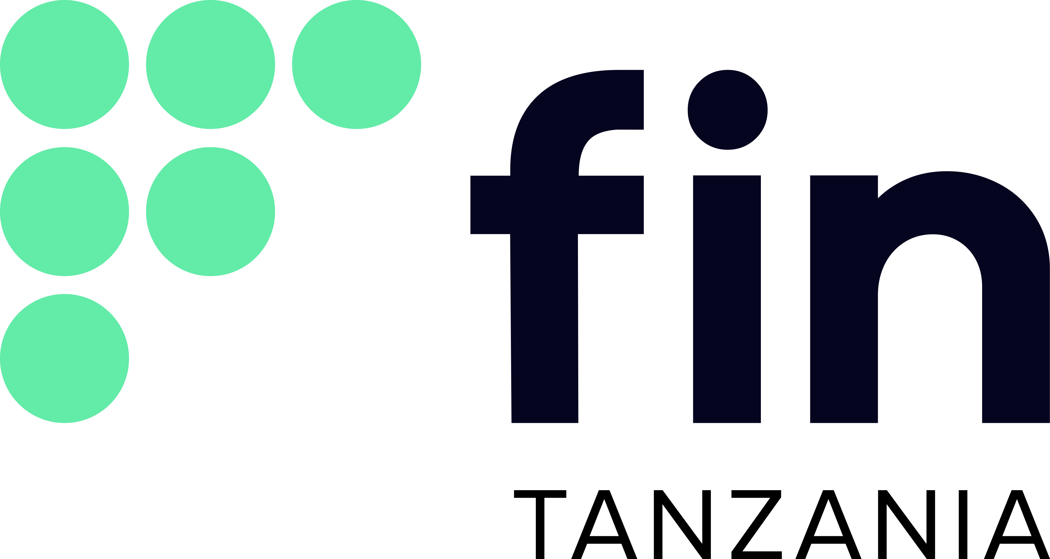Fin Tanzania logo